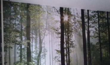 Montaj tapet Tei — fotografie din lucrările executate 4